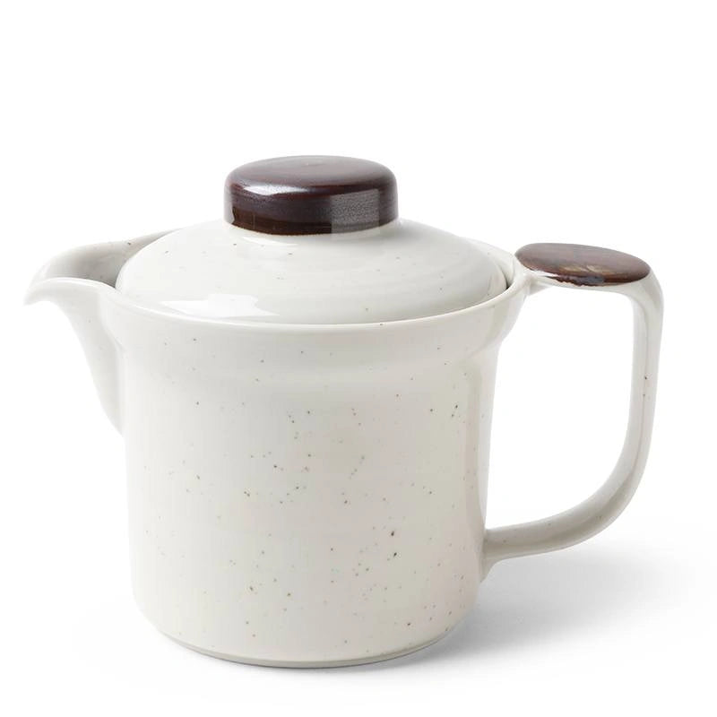 Tea Pot, Hirokuchi Salt/Spray 16OZ